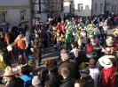 Faschingszug - Fotograf 2_75
