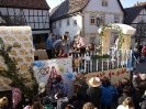 Faschingszug - Fotograf 2_77