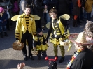Faschingszug - Fotograf 2_84
