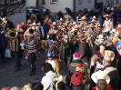 Faschingszug - Fotograf 2_89