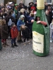 Faschingszug_121