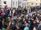 Faschingszug_20