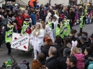 Faschingszug_6