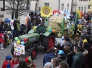 Faschingszug_129