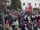 Faschingszug_141