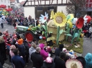 Faschingszug_147