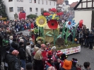 Faschingszug_147