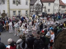 Faschingszug_159