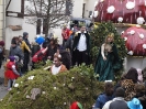 Faschingszug_178