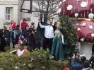 Faschingszug_17
