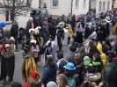 Faschingszug_64