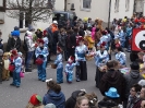 Faschingszug_78