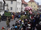 Faschingszug_87