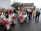 Faschingszug 24_100