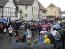Faschingszug 24_2