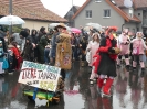 Faschingszug 24_45