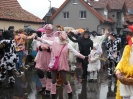 Faschingszug 24_46
