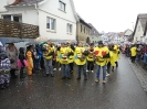 Faschingszug 24_59