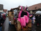 Faschingszug 24_68