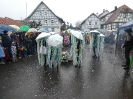 Faschingszug 24_71