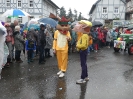 Faschingszug 24_73