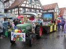 Faschingszug 24_75