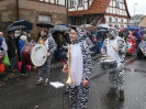 Faschingszug 24_80