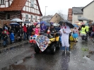 Faschingszug 24_81