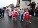 Faschingszug 24_94