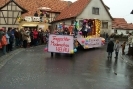 Faschingszug_15