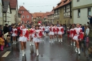 Faschingszug_8